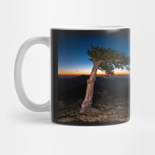 Elf Wood Sunrise Mug